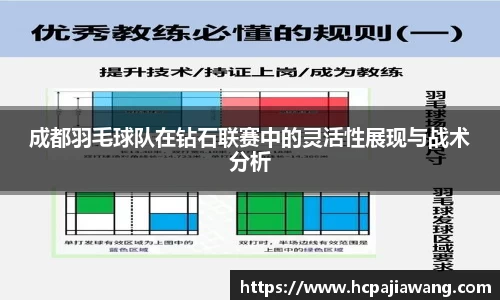 成都羽毛球队在钻石联赛中的灵活性展现与战术分析